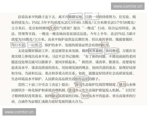 运动品牌赞助策略分析：提升品牌影响力与市场份额的双赢之道